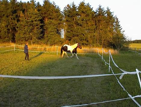 Tinker Rikki Licki Lake - Så hundser mor mig rundt, hun kalder det løslongsering billede 6