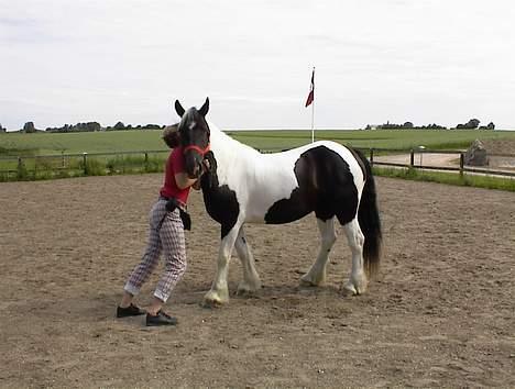 Tinker Rikki Licki Lake - Jeg prøver at få min moste Maiken til at stå pænt, når vi nu skal fotograferes, men nej billede 7
