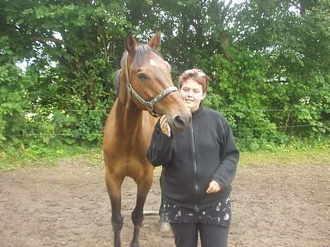 Hannoveraner kilof - lidt hygge på marken!!! billede 8