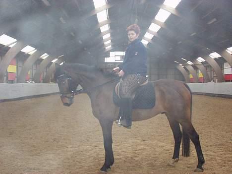 Hannoveraner kilof - pause i ridningen billede 9