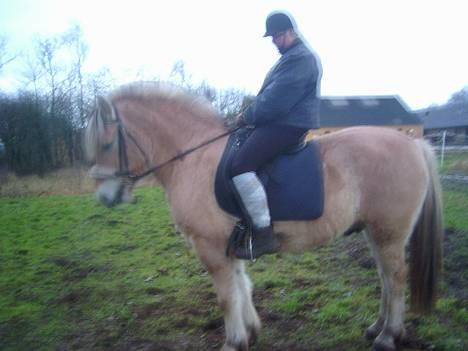 Fjordhest Charlie...Død.. - Jeanette og Charlie igen... billede 6