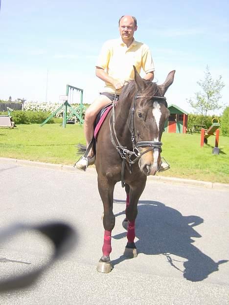 Anden særlig race Lafite Rôthchild - her er min far, Jan, lige hoppet til hest, hvilket Lafite vist synes er rimelig kedeligt.  billede 7