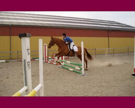 Dansk Varmblod Isabella † - Isabella & jeg til vores første springstævne. Bortset fra min ret så erkavet opstilling & springets ikke så store højde. Gik det super godt, vi vandt nemlig klassen *smiler* billede 6