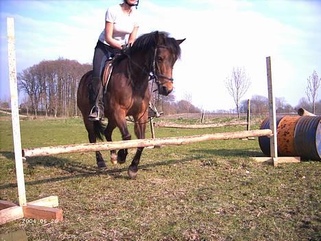 Anden særlig race Lotte - Nyt Taget d. 25 september billede 8