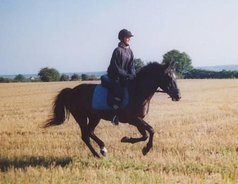 Anden særlig race Stella  - fuld fart frem, en af de sidset dage sammen billede 2