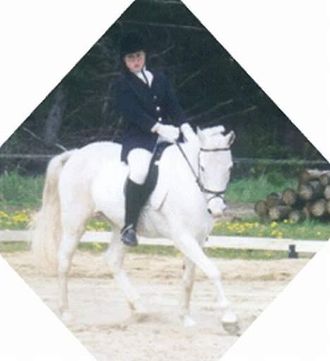 Anden særlig race Yousette (R.I.P.) - Her er hun til et stævne i Bramming billede 2