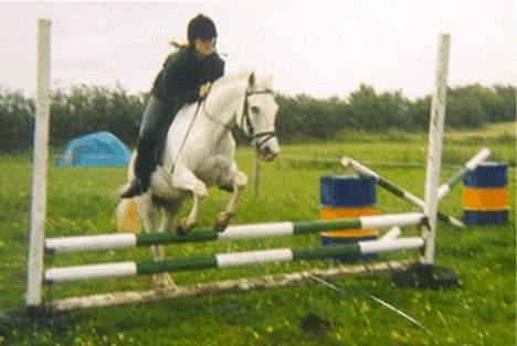 Anden særlig race Yousette (R.I.P.) - Så bliver der lige trænet lidt springning.. billede 3