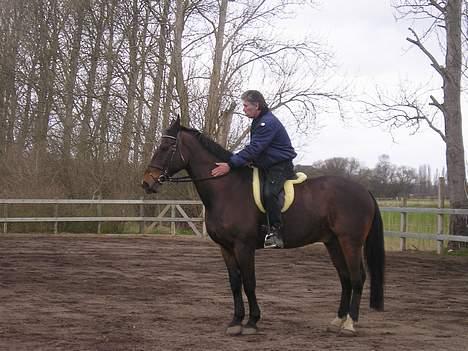 Oldenborg Jumbo - Min far og jumbo på banen. kort efter vi fik ham hjem på prøve..! billede 5