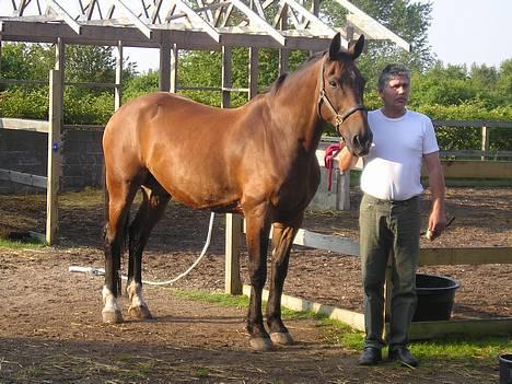 Oldenborg Jumbo - smil... du R på...! hehe... billede 7