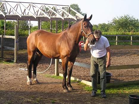 Oldenborg Jumbo - så er det nussetid... Det er det godt nok tit... men det er jo også tydeligt at både hesten og min far kan li det... billede 8