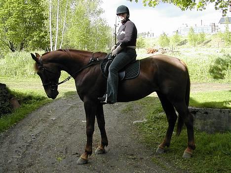 Traver Mighty spin m(død) - meg og mighty igjen billede 10