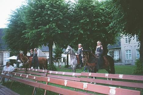 Anden særlig race Julie (død 2001) - Grønnegårds Teateret 1997, til slut i forestillingen stiller vi op bagved stolerækkerne. Julie står til højre billede 5