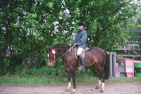 Anden særlig race Julie (død 2001) - Hillerød 1999. Ví har lige været med i dressur LB og vandt. Minni stævne. billede 8