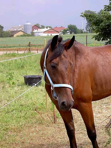 Traver Express K     I <3 YOU billede 1