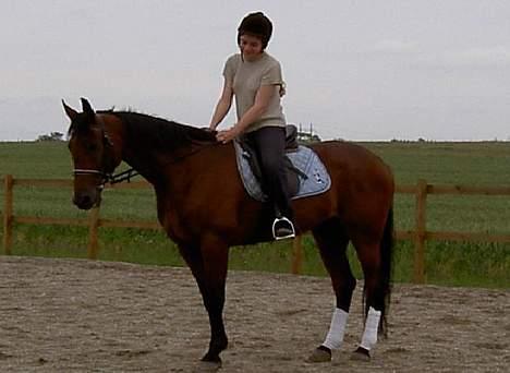 Traver Express K     I <3 YOU - en af de første gange jeg skridter på ham. billede 3