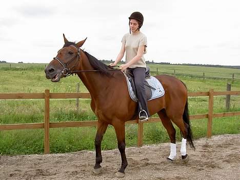 Traver Express K     I <3 YOU billede 4