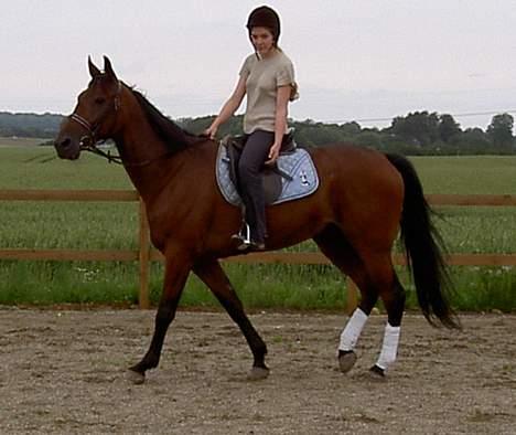 Traver Express K     I <3 YOU billede 7