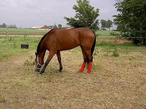 Traver Express K     I <3 YOU billede 8