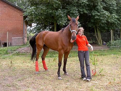 Traver Express K     I <3 YOU billede 10