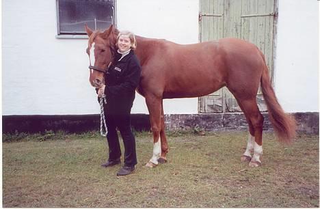 Traver Gabriella Safir - Også den sidste dag billede 9