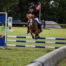 Anden særlig race Spirit 