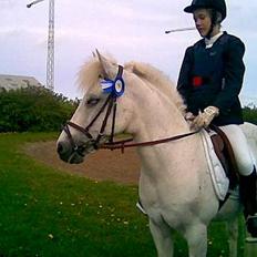 Connemara Galsgårds Blis