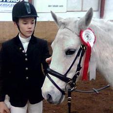 Connemara Galsgårds Blis