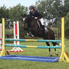 New Forest Troldmosens Bijou, B-PONY