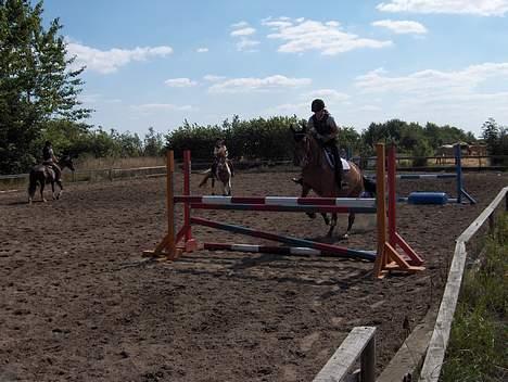 Anden særlig race Chablis*solgt* - Spring miin pony(Louises nu) billede 7