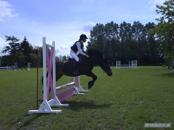 Anden særlig race *Wendy*   - Lille Wendy <33 billede 1