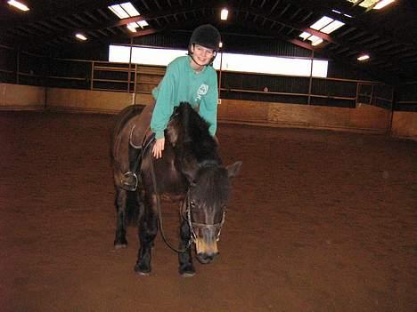 Anden særlig race *Wendy*   - Efter en ridetime.. Du er bare så dygtig! billede 2