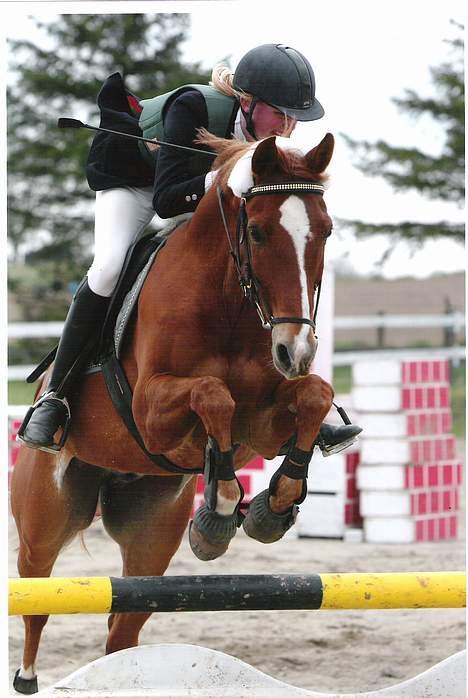 Anden særlig race Ølfert, solgt - Jeg og Ølle i HSK billede 1