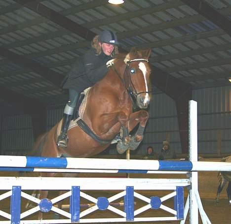 Anden særlig race Ølfert, solgt - Jeg og Ølle til træning i HSK billede 5
