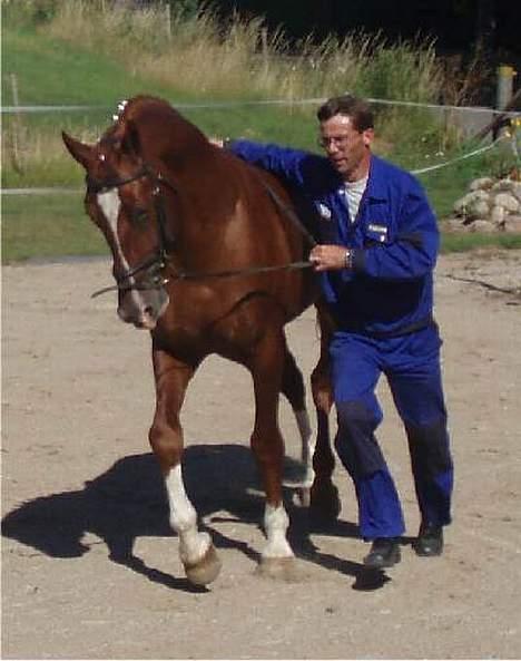 Frederiksborg Ramir - Ramir træner til Brahetrollebog skuet, føres af Torben Bastholm. billede 15