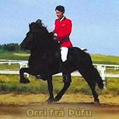 Islænder Rán - her er så hendes FF billede 3