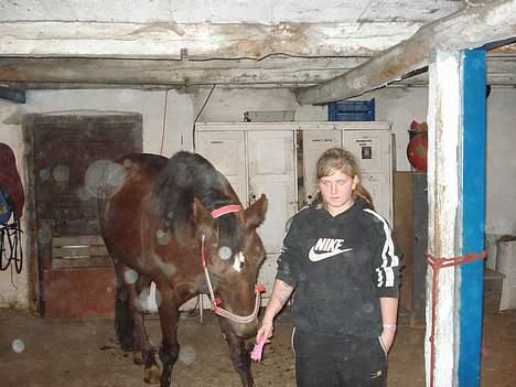 Traver rina - hva er det du har der..? billede 11