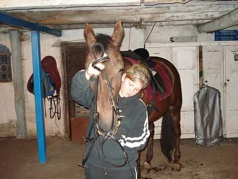 Traver rina billede 13