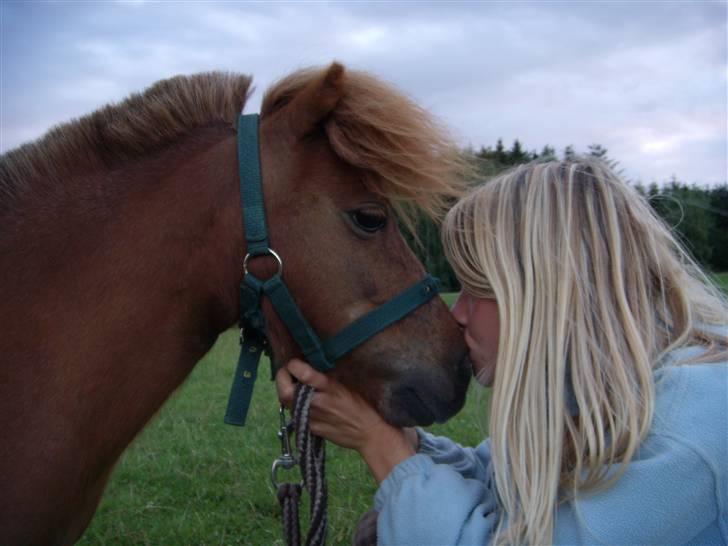 Miniature Bella *SOLGT - Min smukke pony. :D billede 5