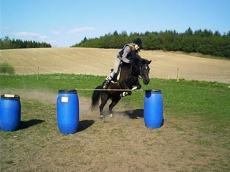 Anden særlig race Beauty  - Mig og Beauty, 100 cm. billede 2