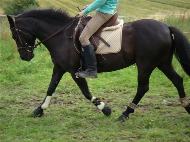 Anden særlig race Beauty  - Smuuuuukke pony :D billede 3