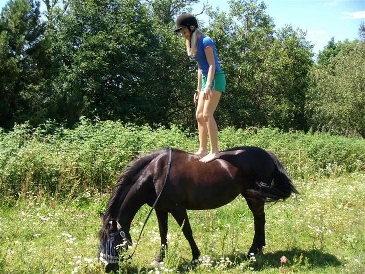 Anden særlig race Beauty  - Jeg står oppe på min beauty :D billede 9