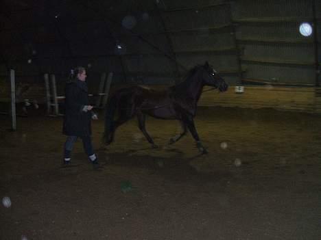 Traver rina - lige varme lidt op inden vi skal løspringe billede 16