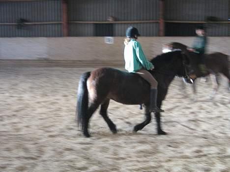 Anden særlig race *Wendy*   - og igen ;) billede 6