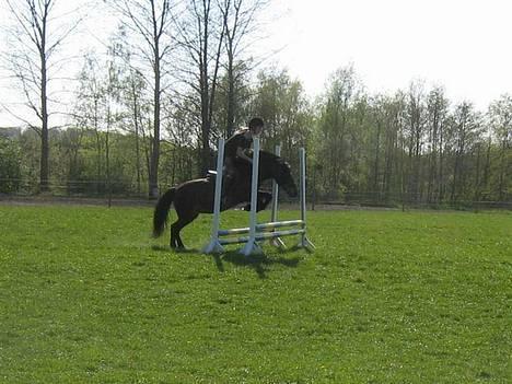 Anden særlig race *Wendy*   - Er hun ikk fin <33 billede 7