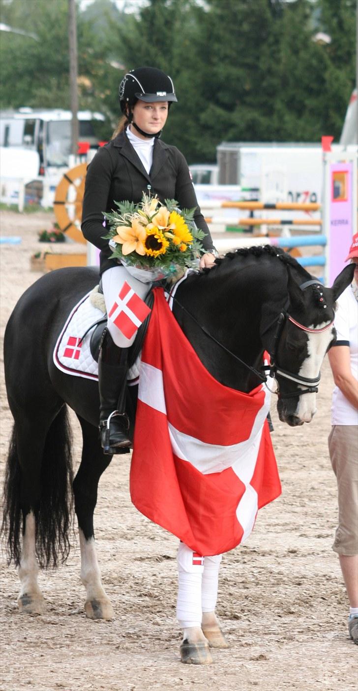 Irsk Sportspony Multistar Scan | A-PONY - NM 2010 billede 17