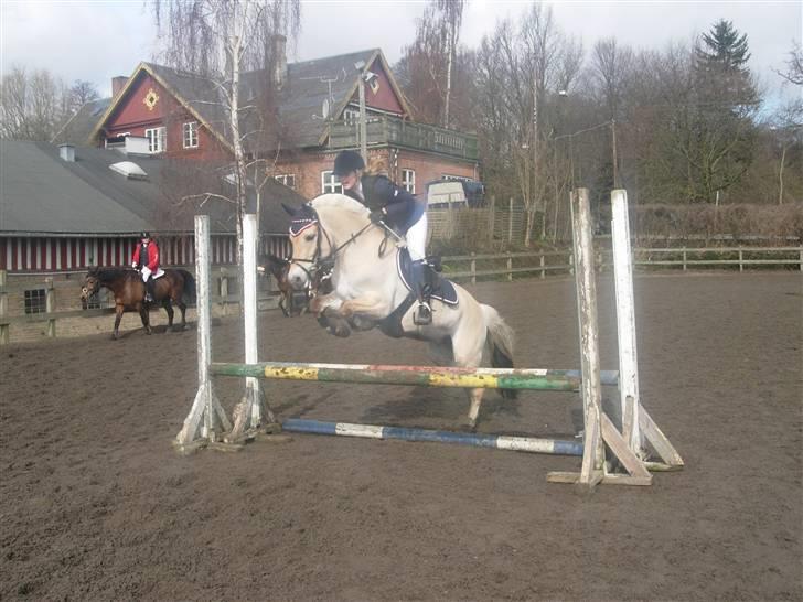 Anden særlig race Mulan - søde pony på opvarming sprang ik max højte da der var meget mudret (taget d 5/4- 08) billede 5