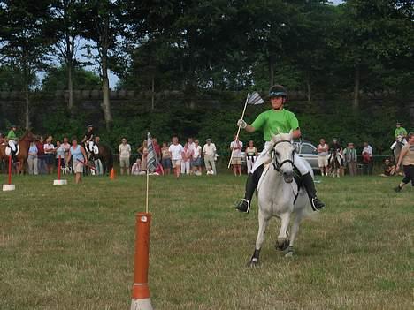 Anden særlig race Bonnie <3 - Ponygames opvisning i Guderup :) billede 9