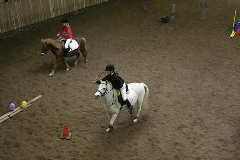 Anden særlig race Bonnie <3 - Første runde i ponygames i AUGR. Kuk kuk hvem er det der står der oppe :D Hehe billede 11