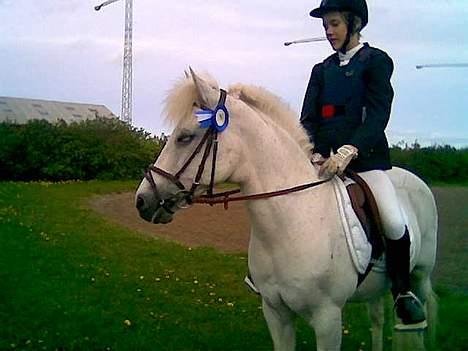 Connemara Galsgårds Blis billede 1