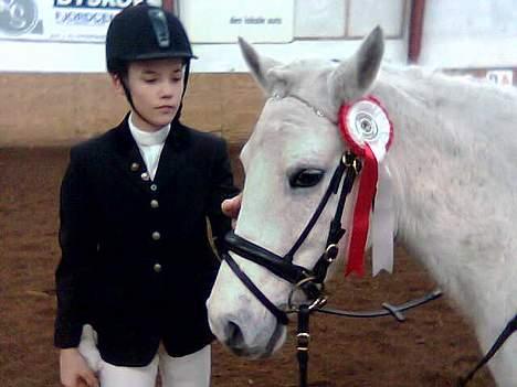 Connemara Galsgårds Blis billede 3